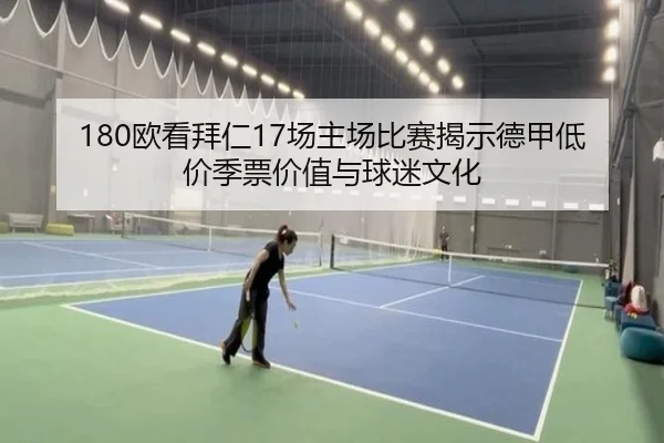 180欧看拜仁17场主场比赛揭示德甲低价季票价值与球迷文化 | YABO