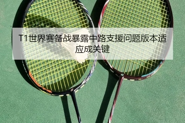 T1世界赛备战暴露中路支援问题版本适应成关键 | YABO